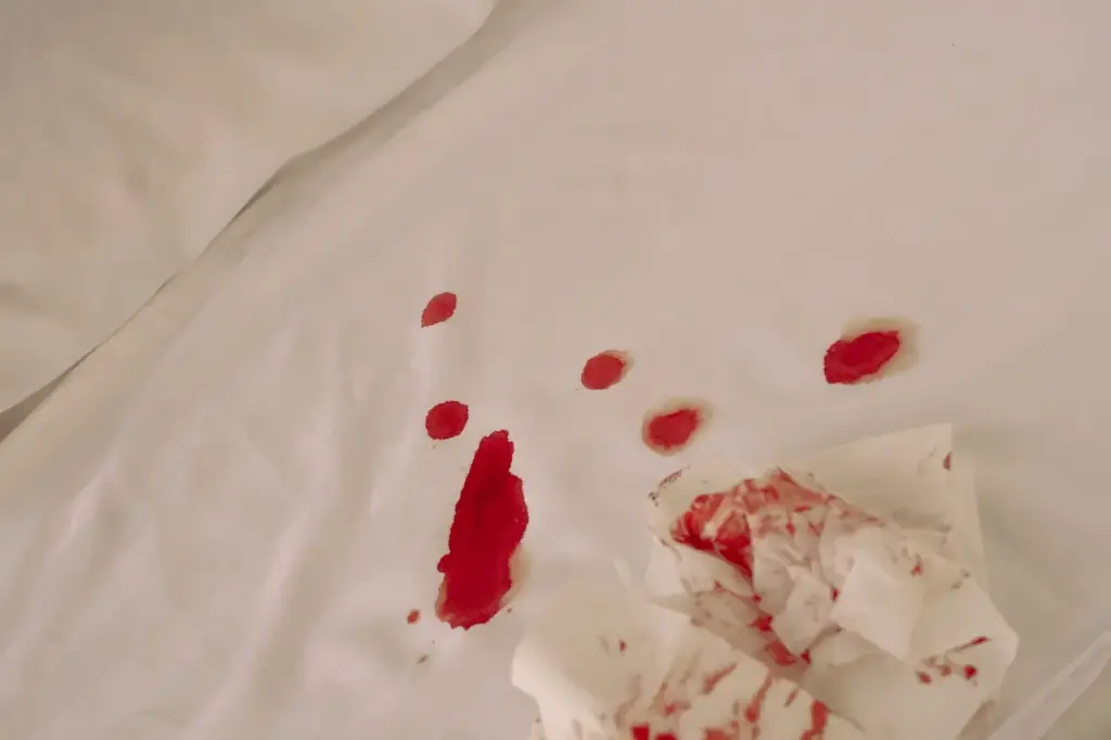 Blood Stains in Bed 