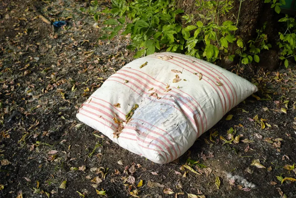 Dispose Old Pillows In Australia 