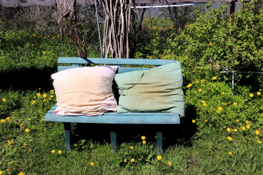 How To Dispose Old Pillows In Australia 