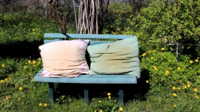 How To Dispose Old Pillows In Australia