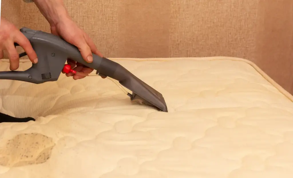 How to Remove Mold & Mildew from Mattresses 