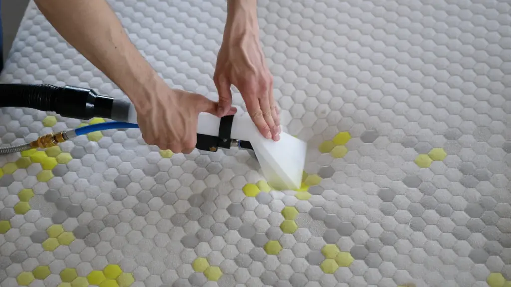 How to Remove Pee From Mattress 