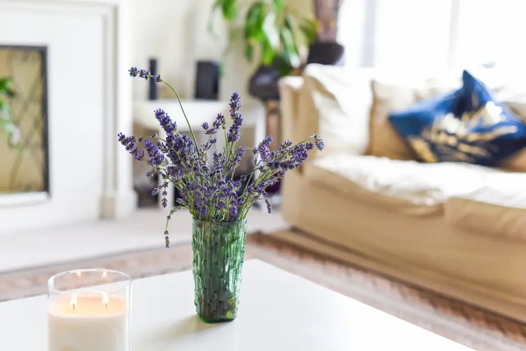 Lavender Plant Inside The Room, The Best Bedroom Plants to Improve Air Quality