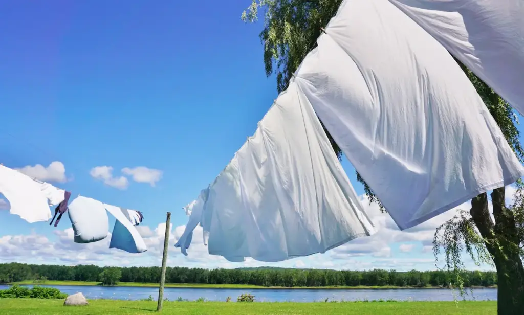 White Sheets Hanging on Clotheslines 