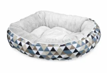 Australia's Best Dog Beds