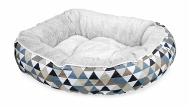 Australia's Best Dog Beds