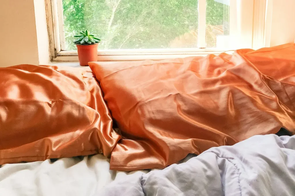 A Pair of Orange Silk Pillows 
