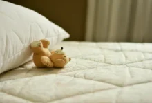 Onebed mattress review — OneBed Mattress Review